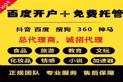 精准投放：SEM推广的技巧与案例